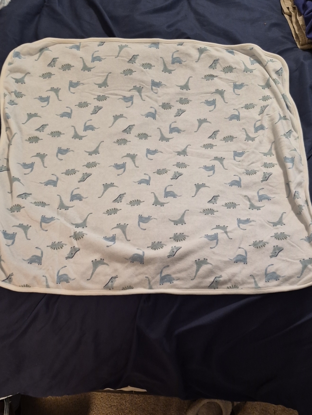 Soft White Baby Blanket with Light Blue Dinosaur Print